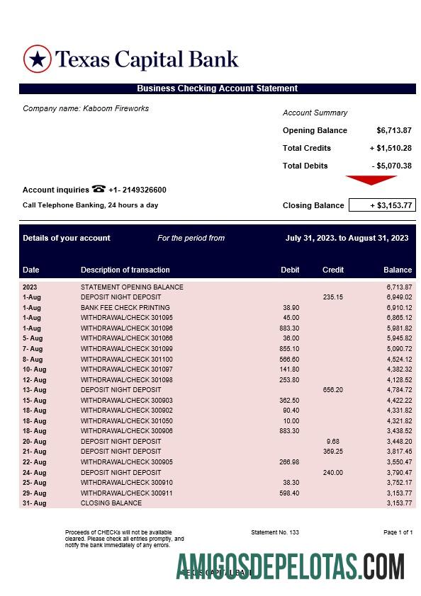 Imprimível Texas Capital Bank Company Statement Word And PDF model